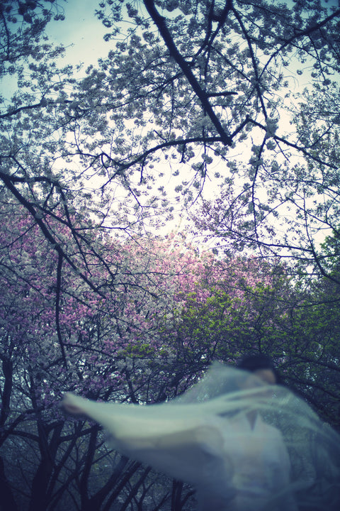 Sakura Dance - Condé Nast Traveler