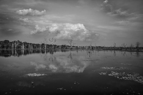 WetLands of Cambodia