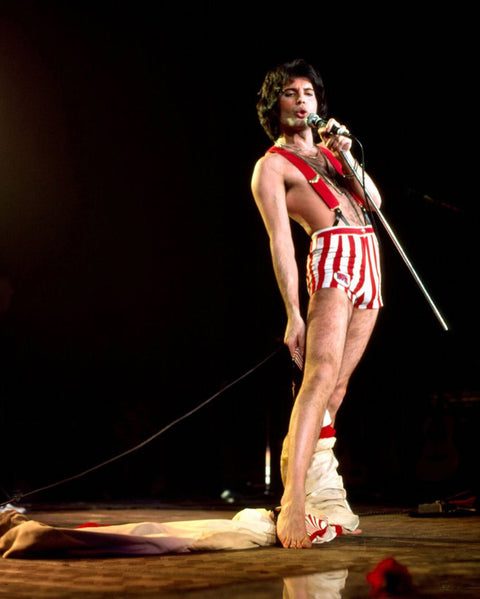 Freddie Mercury by Richard E. Aaron.