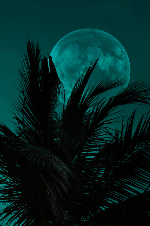 New Moon