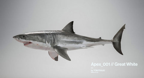 Apex_001 // Great White